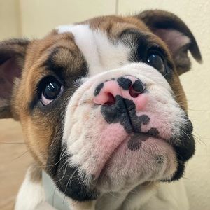 Meet your Posher, Michael